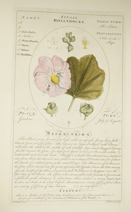 Botany - Sheldrake, Timothy - Botanicum Medicinale; an Herbal of Medicinal Plants on the College of Physicians List, folio, half calf, lacking title and folding table, with 95 [of 118 originally], leaves of hand-coloured